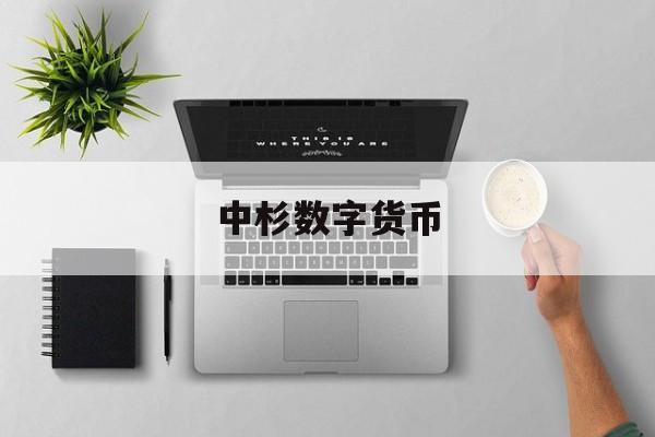中杉数字货币(中国数字货币银行)