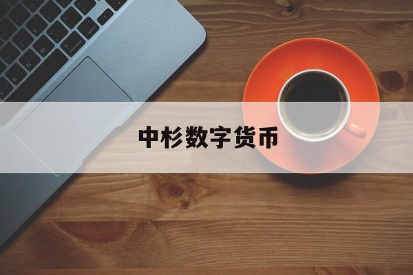 中杉数字货币(中国数字货币怎么样)