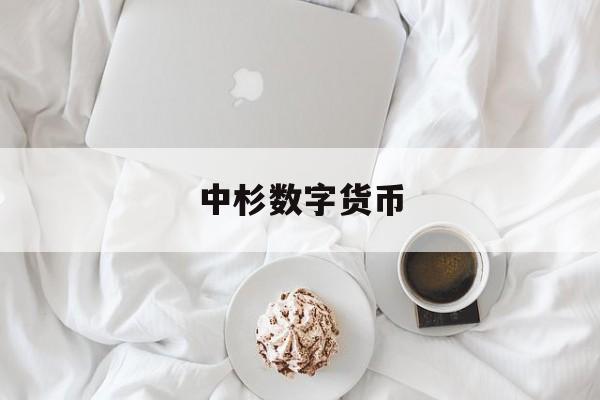 中杉数字货币(中国数字货币网官网)